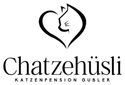 Chatzehüsli